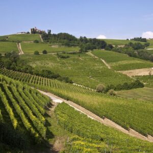 Visita “2 giorni nelle Langhe“