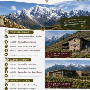 Tre giorni tra Piemonte e Valle D'Aosta - Venerdi 12, Sabato 13 e Domenica 14 Giugno
